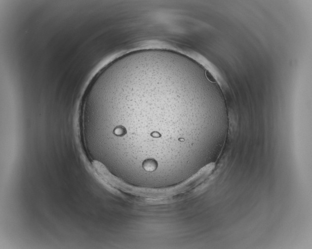 X0000111421142200907271138