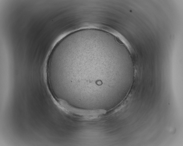 X0000111421143200907271138