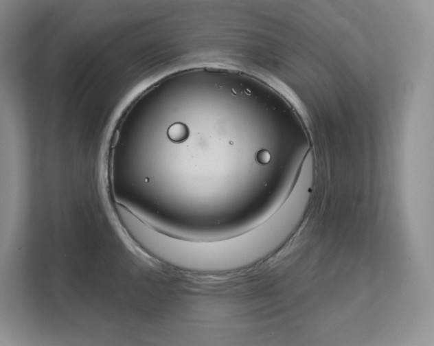 X0000111421144200907271138