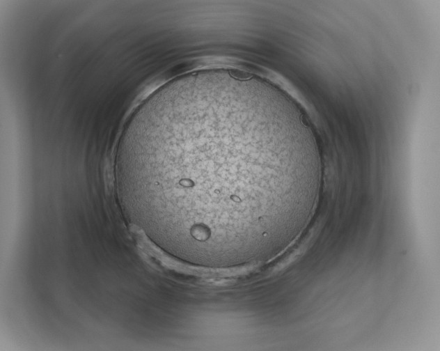 X0000111421145200907271138