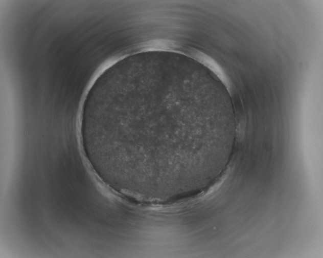 X0000111421146200907271138