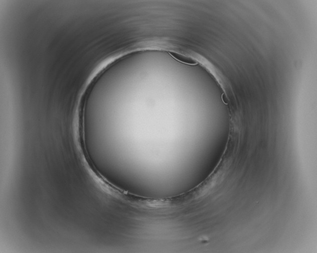 X0000111421147200907271138