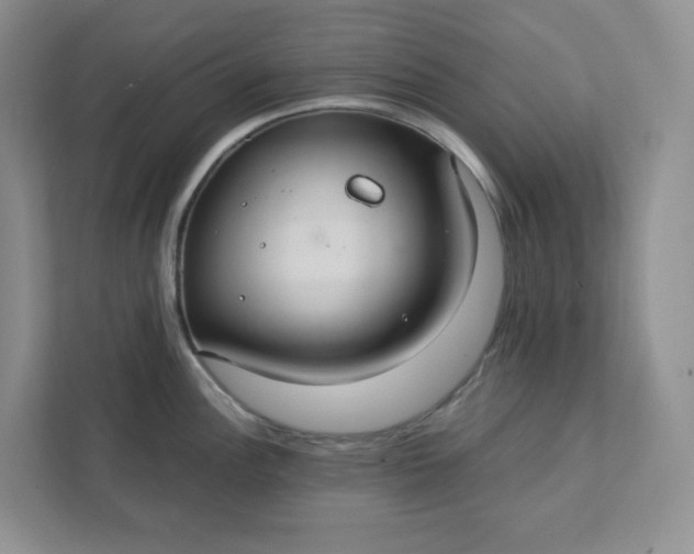 X0000111421148200907271138