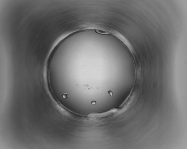 X0000111421149200907271138