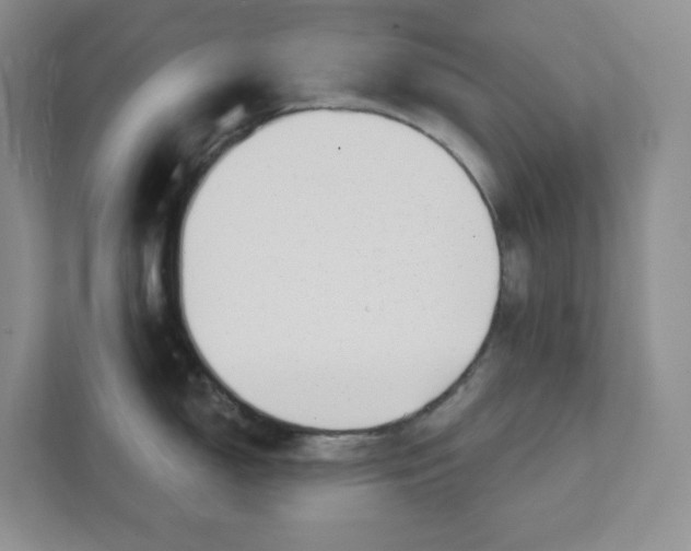 X0000111421150200907271138