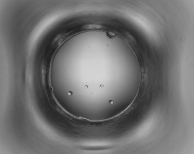 X0000111421151200907271138