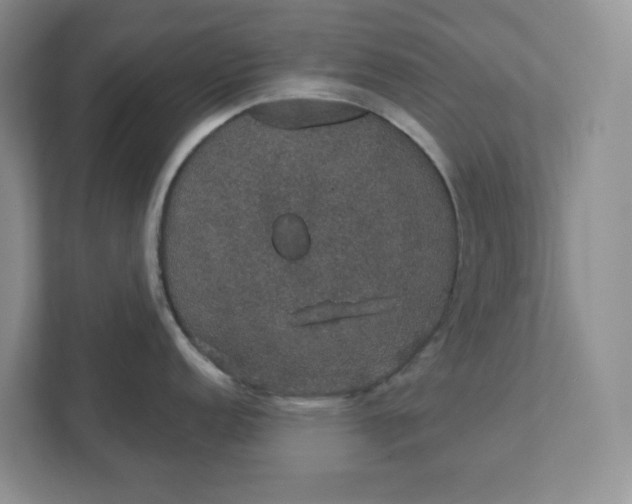 X0000111421152200907271138