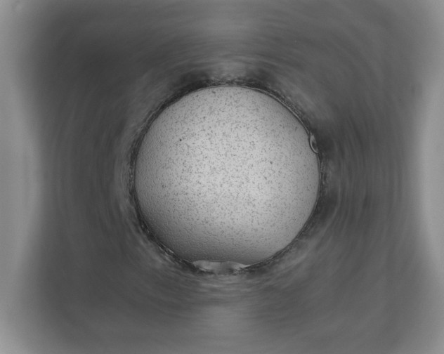 X0000111421153200907271137