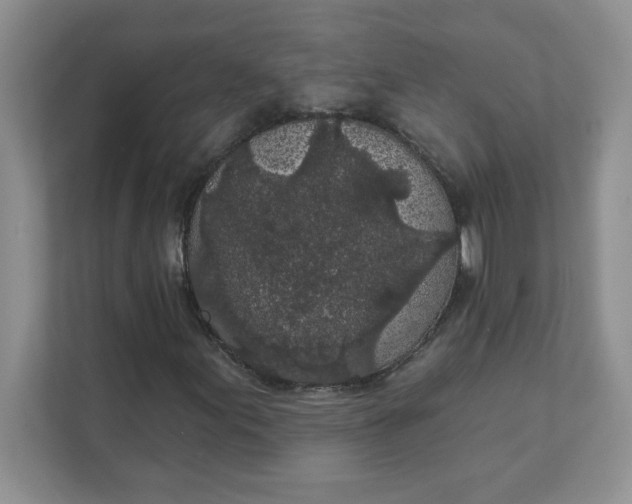 X0000111421155200907271137