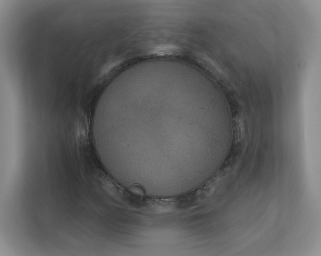 X0000111421158200907271137