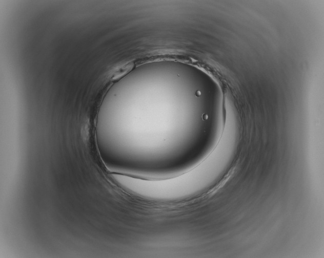 X0000111421161200907271137