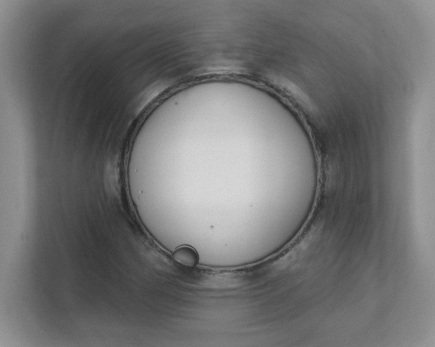 X0000111421162200907271137