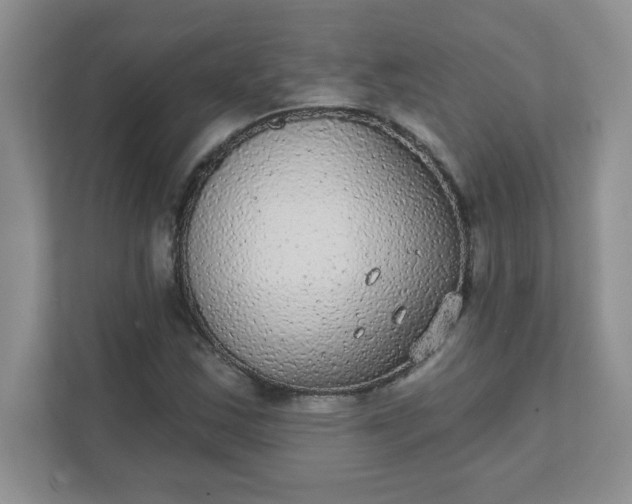 X0000111421163200907271137