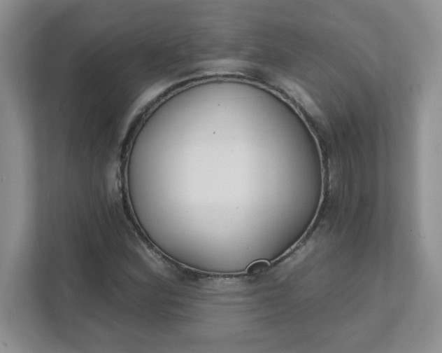 X0000111421164200907271137