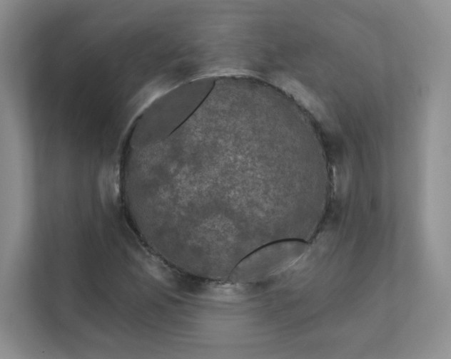 X0000111421165200907271137