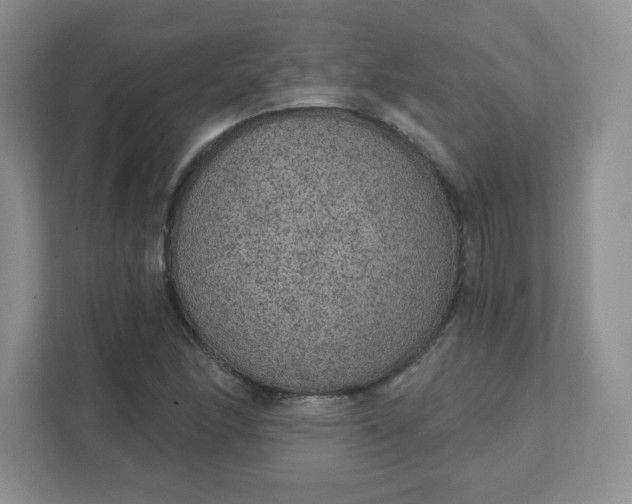 X0000111421166200907271137