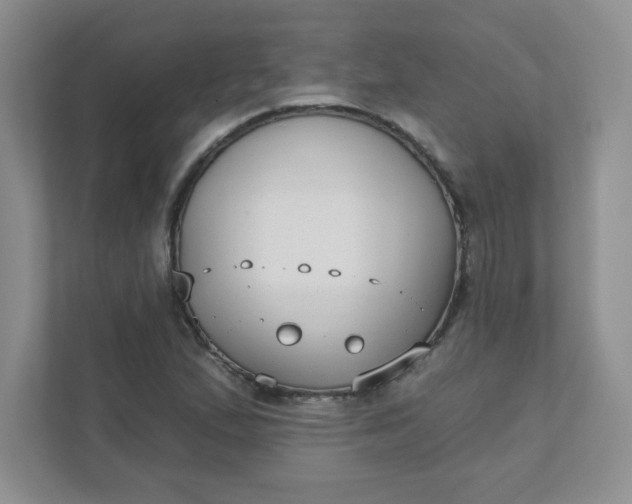 X0000111421167200907271137