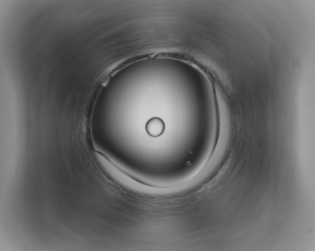 X0000111421169200907271137