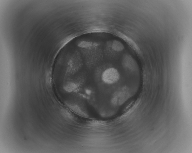 X0000111421170200907271137