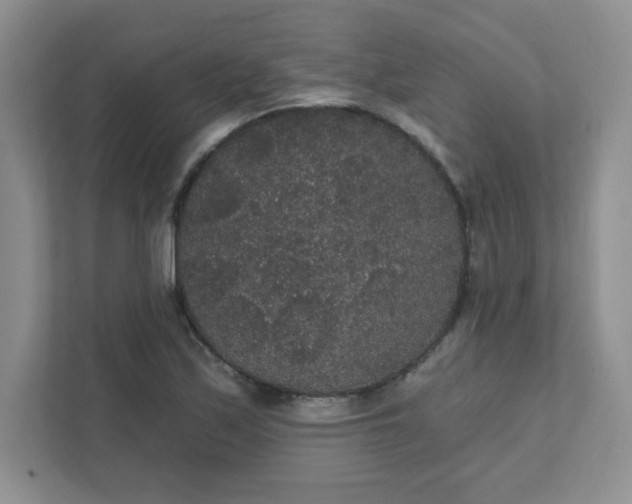 X0000111421171200907271137