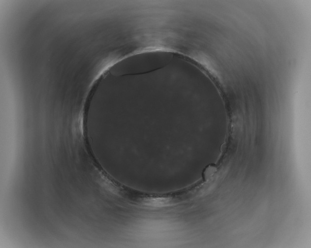 X0000111421173200907271137