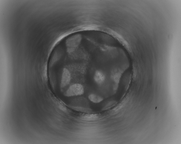 X0000111421174200907271137