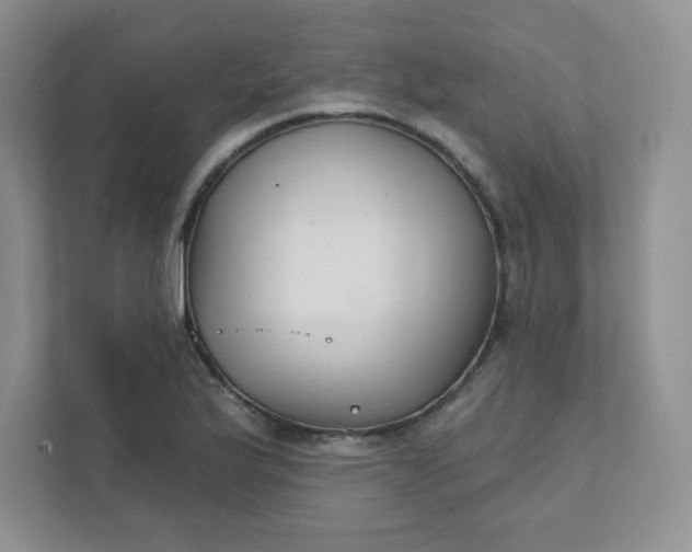 X0000111421175200907271137