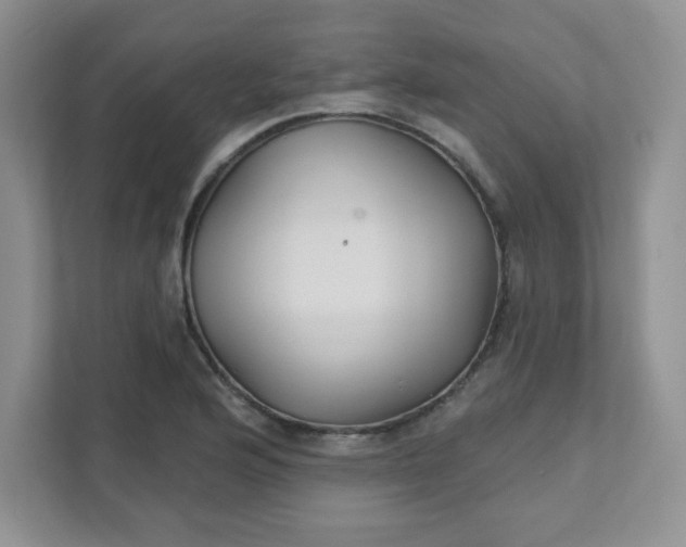 X0000111421176200907271137