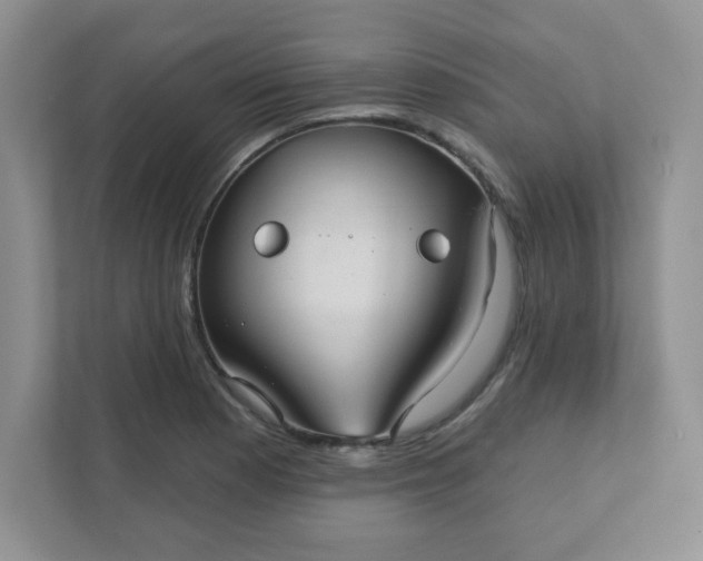 X0000111421177200907271137