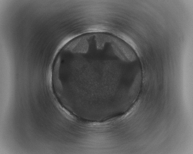 X0000111421179200907271137