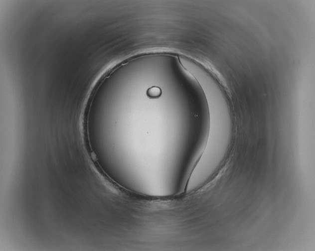 X0000111421181200907271137