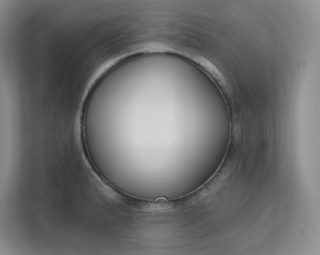 X0000111421183200907271137