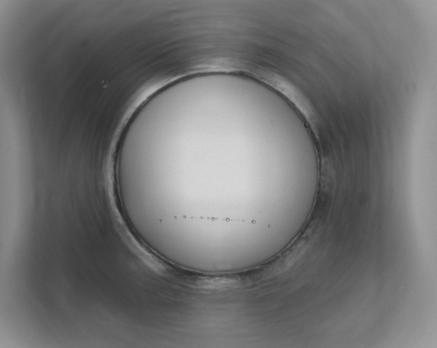 X0000111421187200907271137