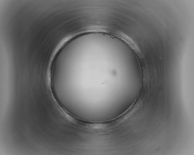 X0000111421188200907271137