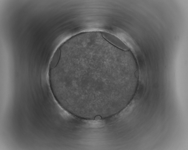 X0000111421189200907271137