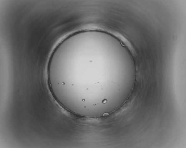 X0000111421191200907271137