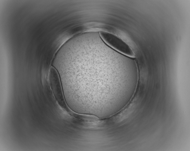 X0000111421193200907271137