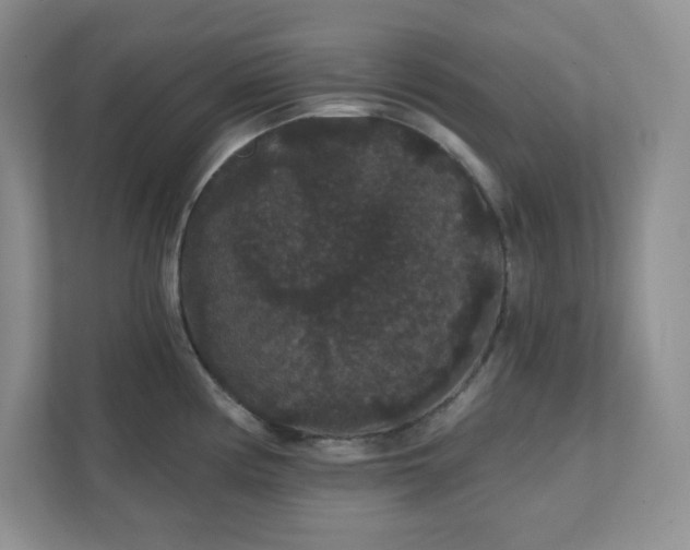 X0000111421194200907271137