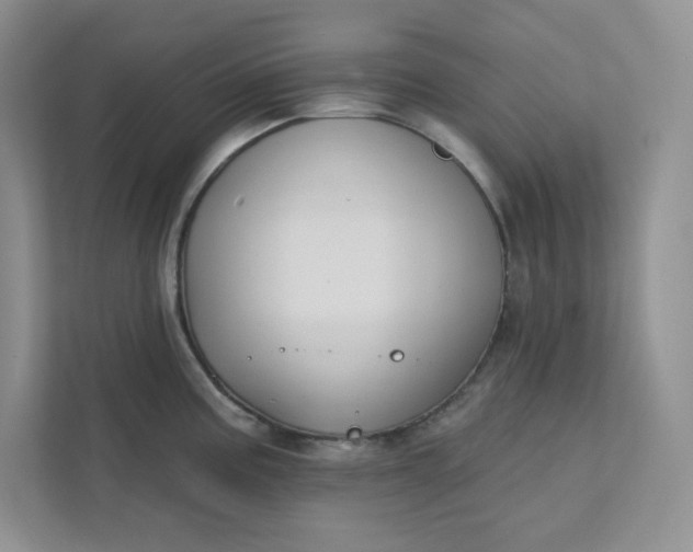 X0000111421195200907271137