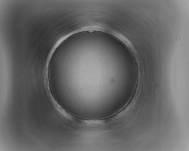 X0000111421200200907271136