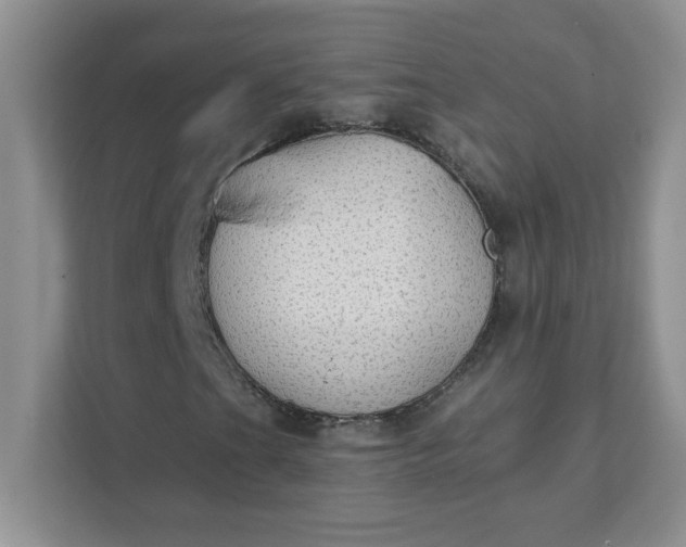 X0000111421201200907271136