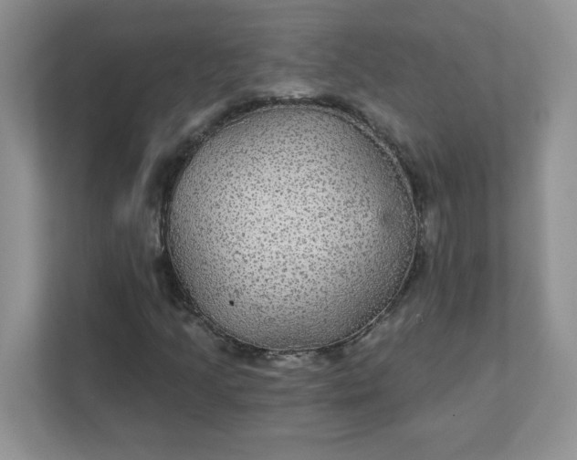 X0000111421205200907271136