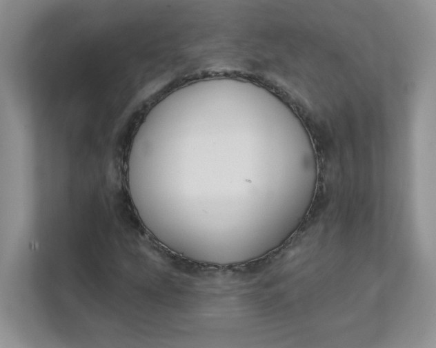 X0000111421207200907271136