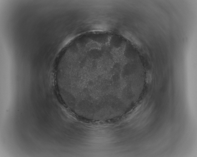 X0000111421208200907271136