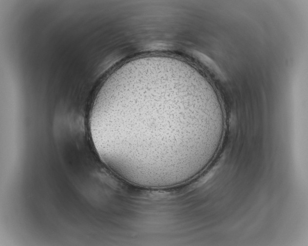 X0000111421209200907271136