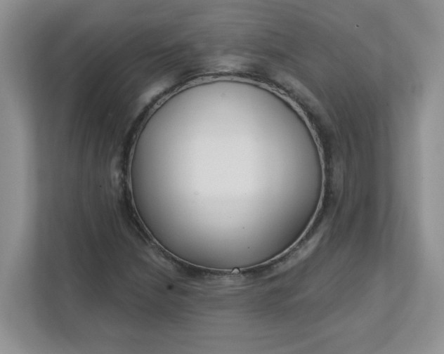 X0000111421210200907271136