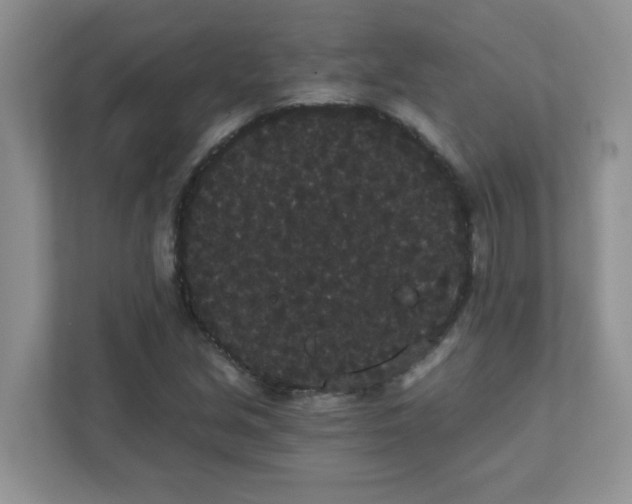 X0000111421213200907271136