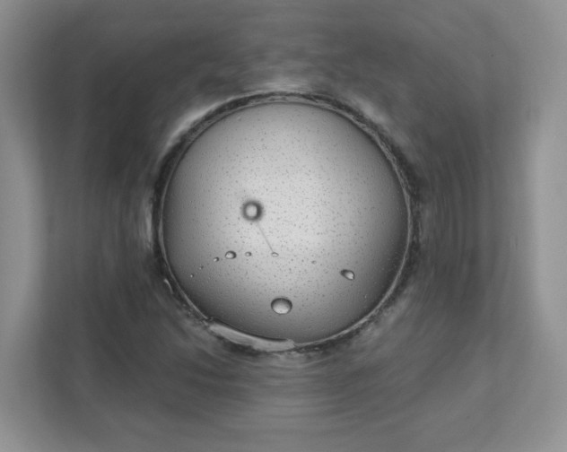 X0000111421214200907271136