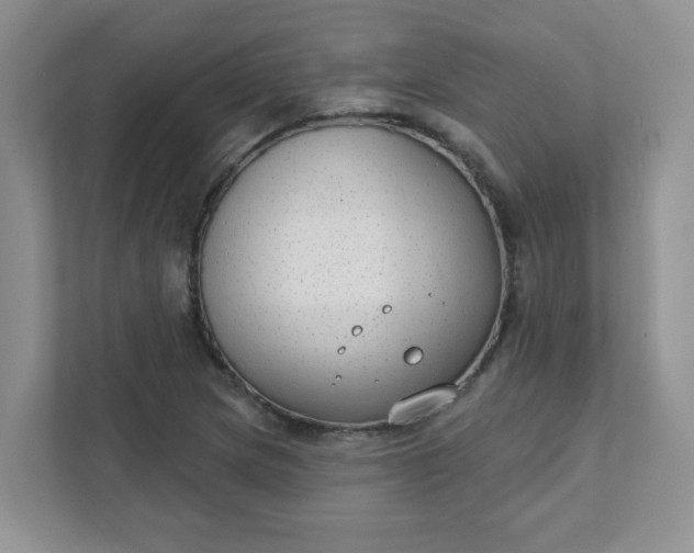 X0000111421217200907271136