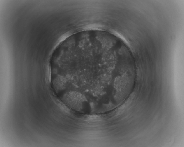 X0000111421219200907271136